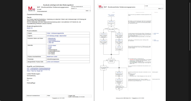 QM Software SCODi 4P -Druckaufbereitung / CI